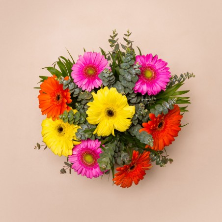 Ramo de flores california - Ramo de gerberas - Envío gratis 24h