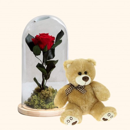 Rosa eterna roja y osito de peluche - Flores preservadas online