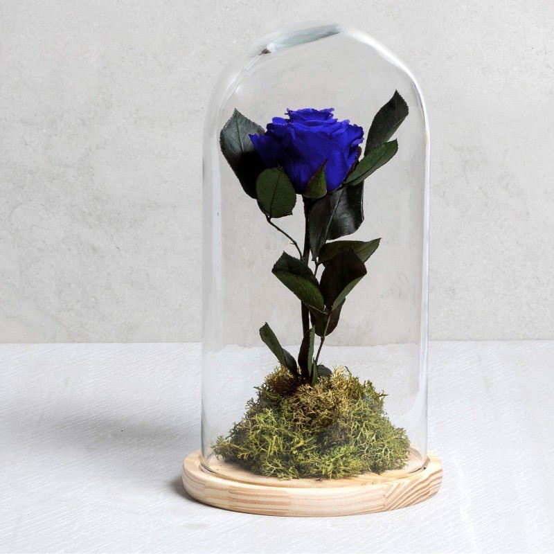 Rosa eterna Azul - Las mejores flores preservadas online
