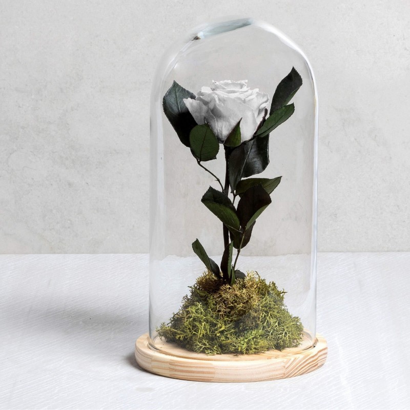 Rosa eterna Blanca - Las mejores flores preservadas online