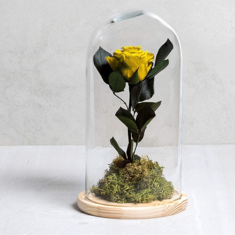 Rosa eterna Amarilla - Las mejores flores preservadas online