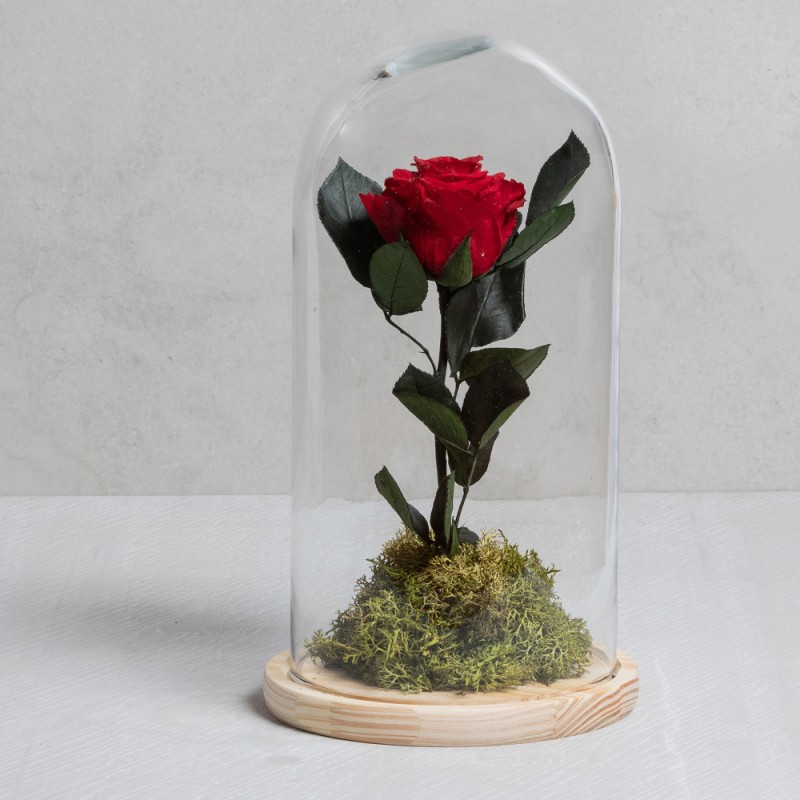 Rosa eterna roja - Descubre la mejor flor preservada online