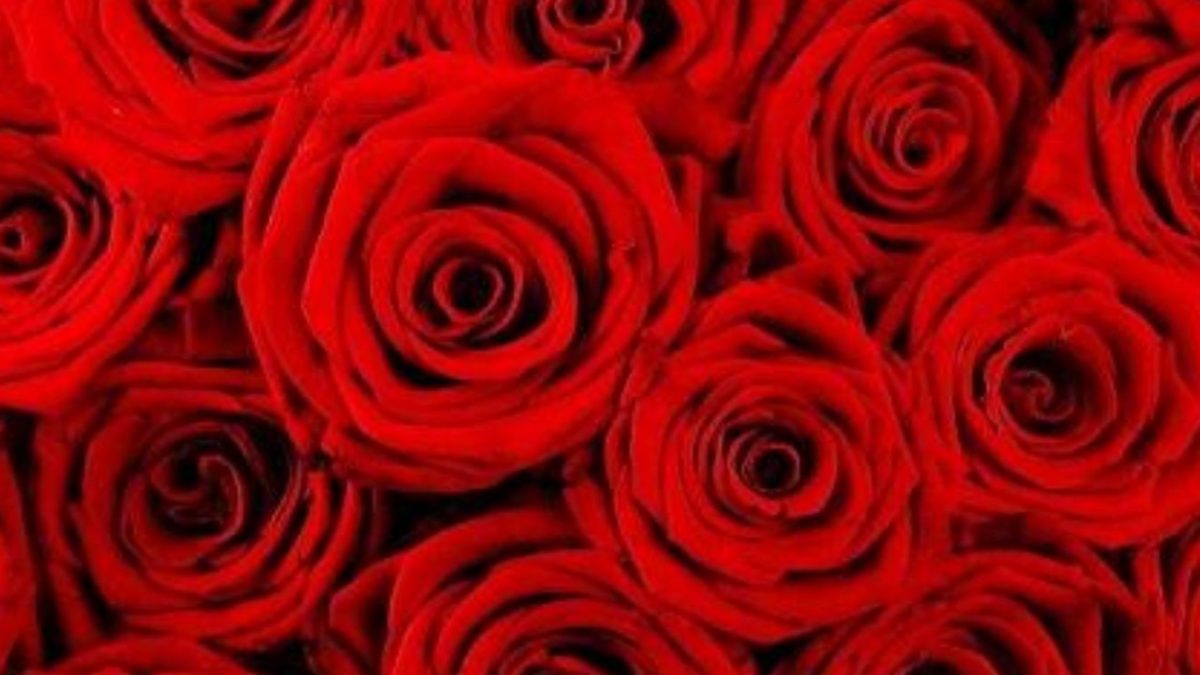 Que cheap significa rose